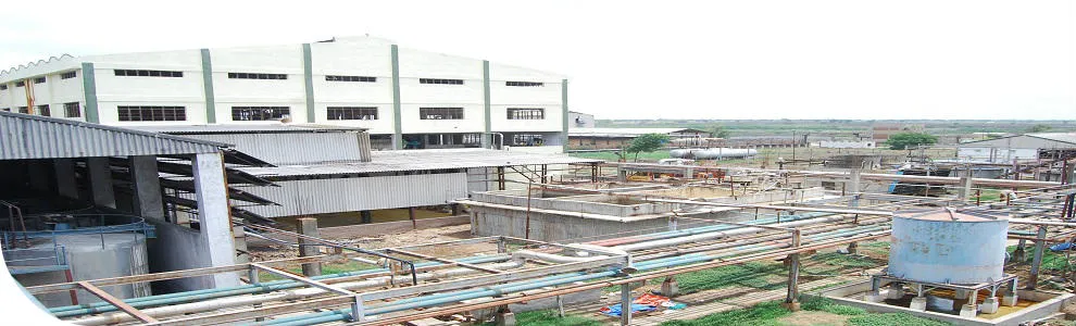 The plant buildings and pipe racks seen from above